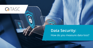 Data Security: How do you Measure Data Loss?