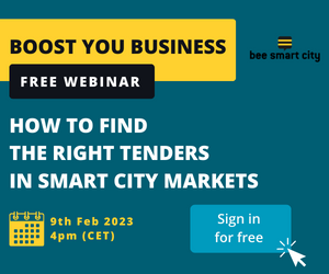 Free Webinar Public Tendering